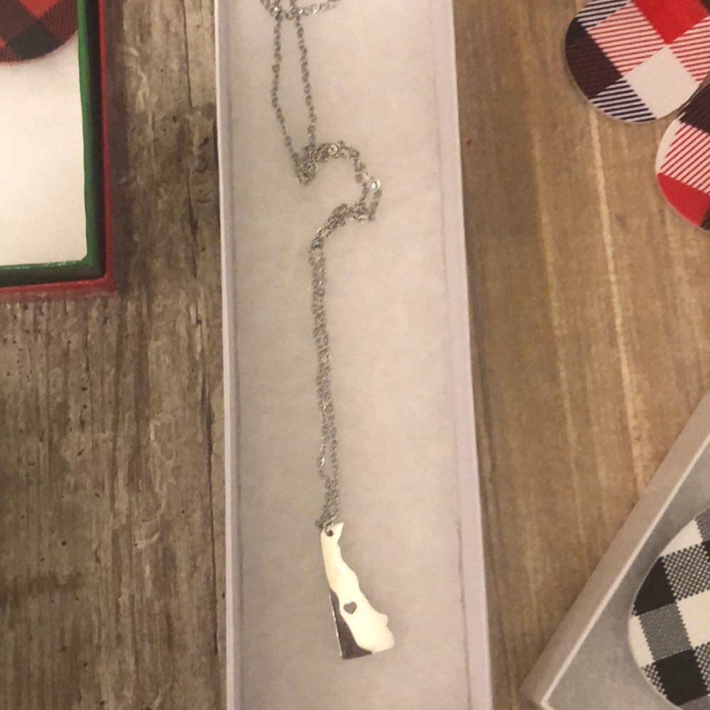 Delaware necklace